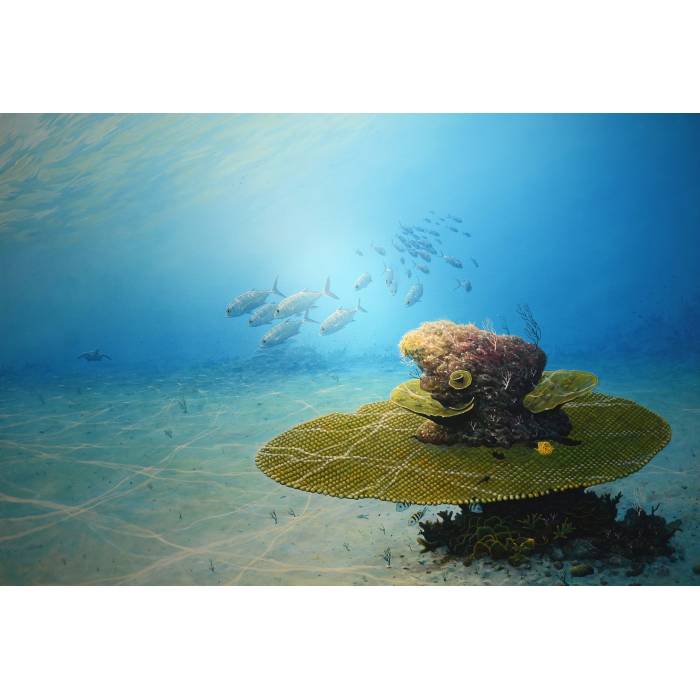 Ajis Mohamad-Snorkeling by Jack