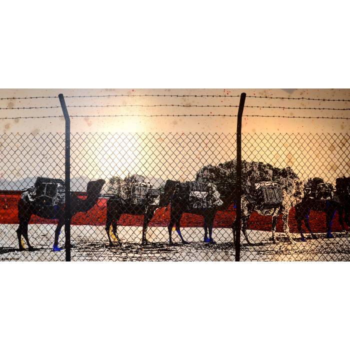 Najib Bamadhaj-The Refuge 